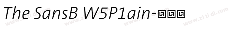 The SansB W5P1ain字体转换